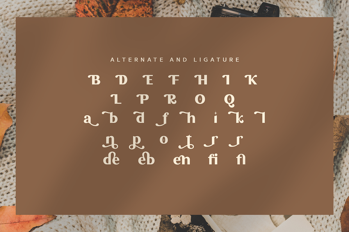 Forbiden Classy Sans Serif, a Sans Serif Font by Glyphstyle (Photo 5 of 6)