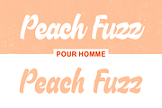 Riocht | Vintage Playful Font, a Script Font by Twicolabs Fontdation (Thumbnail 5 of 8)