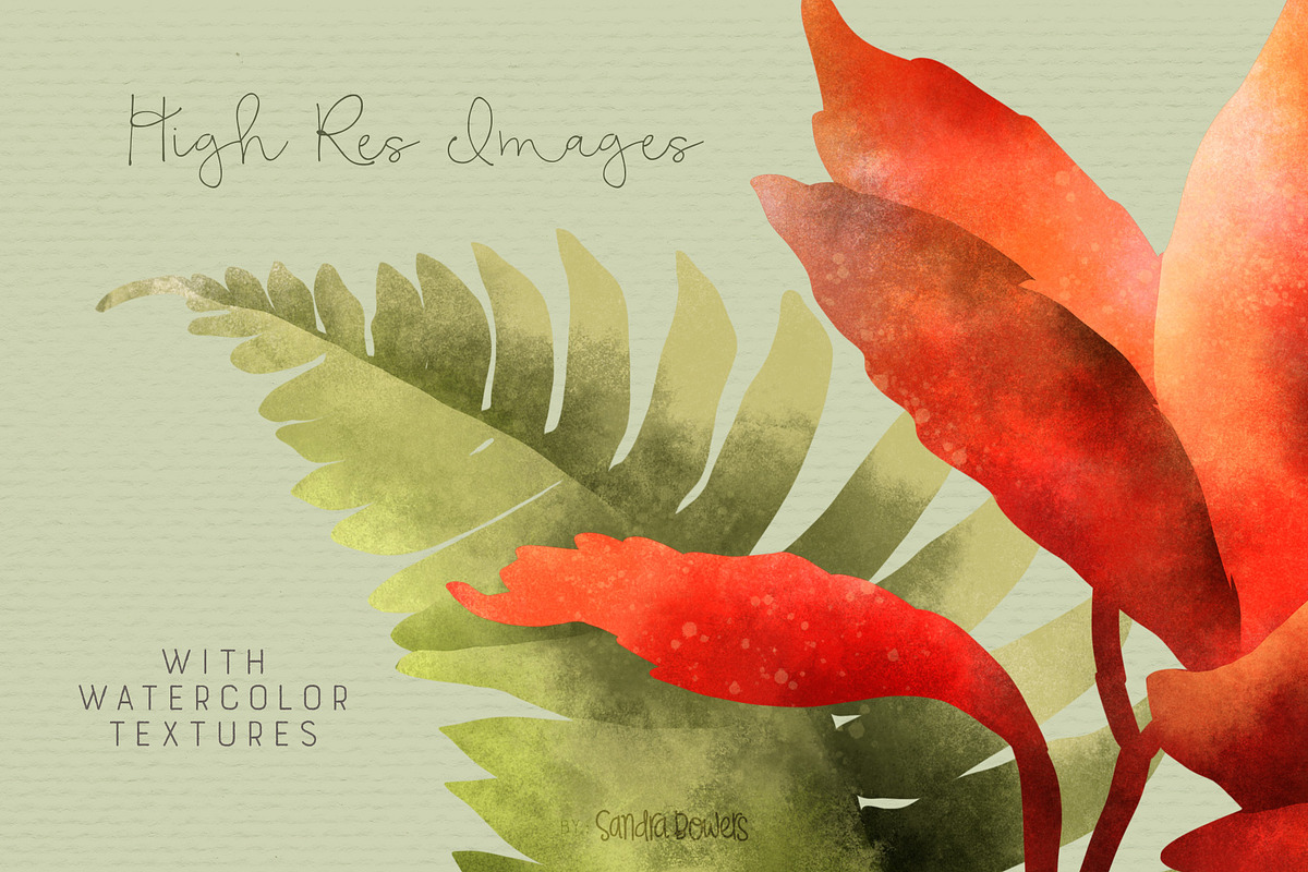 Botanical Forest - Brushes and Icons, an Illustration by Sandra Mejia (Photo 12 of 13)