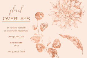 Rose Gold Floral Stamps / 14 PNG