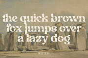 Mostera, a Serif Font by Megatype (Thumbnail 11 of 15)