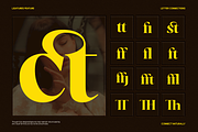 GC Blanca – Serif Elegant Character, a Serif Font by Glyphonic (Thumbnail 10 of 14)