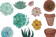Watercolor Cacti & Succulent 4 pack, an Illustration by Valeri Nick (Thumbnail 3 of 6)