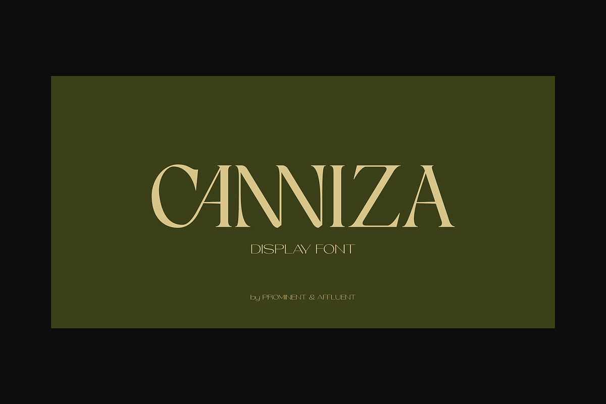 Canniza - Display Serif Font, a Serif Font by Prominent & Affluent (Photo 1 of 8)