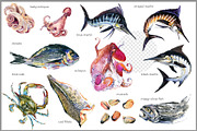 Fresh Sea Food: Watercolor Set, a Food Illustration by FineArt (Thumbnail 2 of 4)