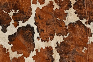 Western Brown Cowhide Texture