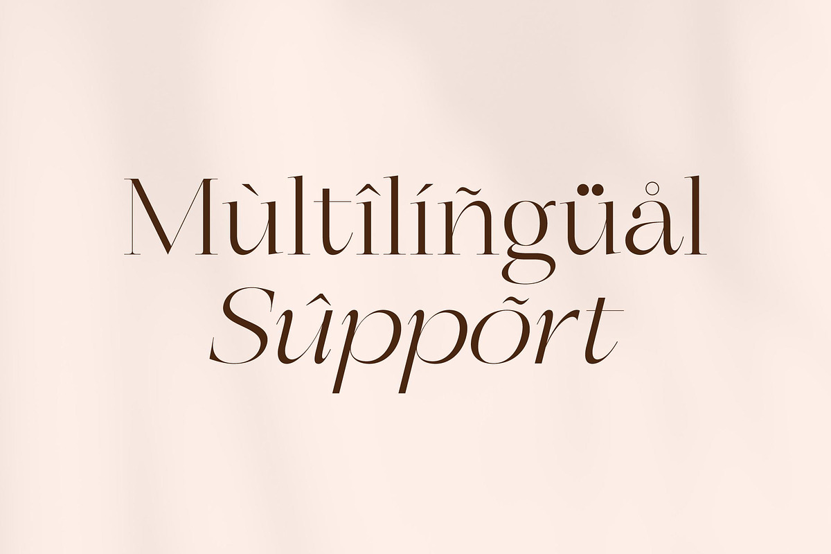 Berloja Satfline Modern Serif Font, a Serif Font by Letterena Studios (Photo 12 of 15)