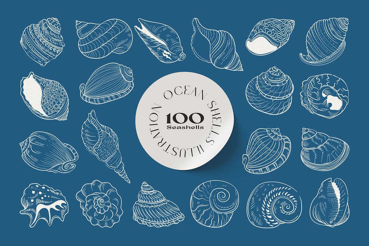 Ocean Shells Illustration, an Object Illustration by KetteCreate (Photo 8 of 17)