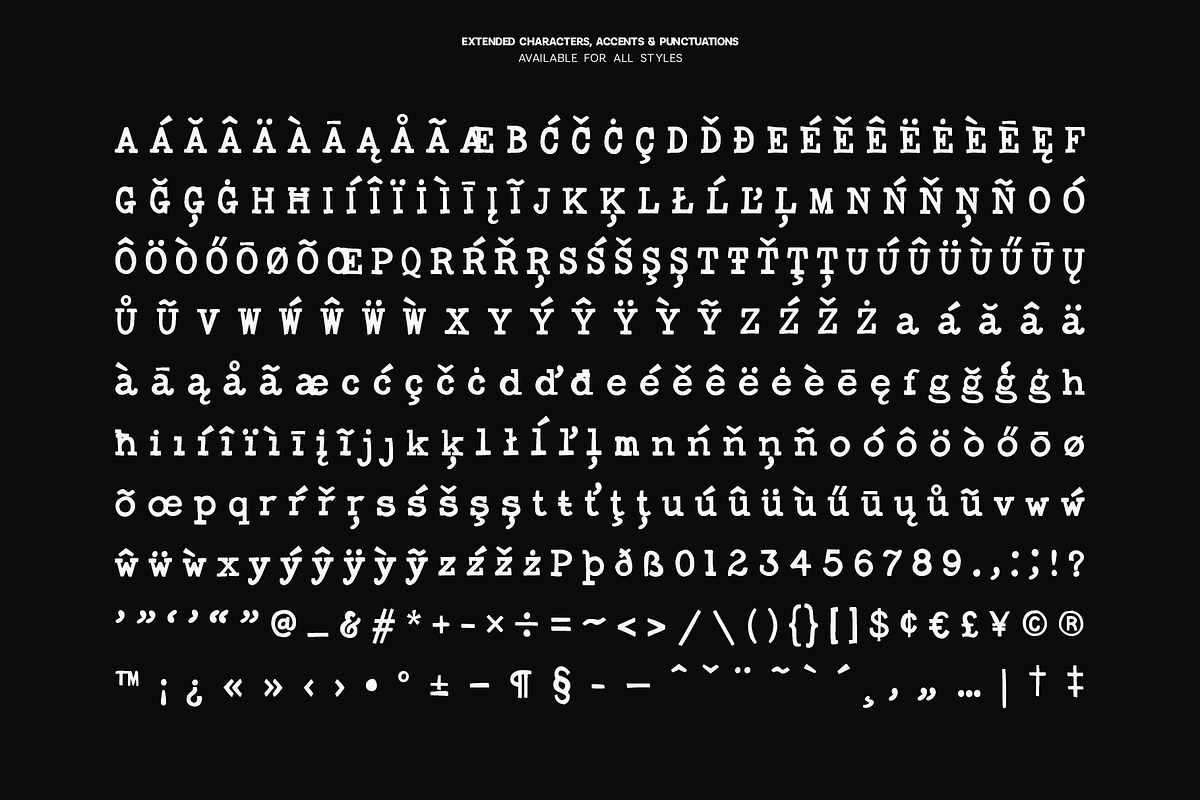 Penlore - Typeaface with 11 fonts, a Handwritten Font by VP Fonts (Photo 15 of 23)