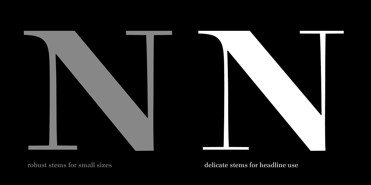 Legit Didone Head, a Serif Font by Finaltype (Photo 3 of 14)