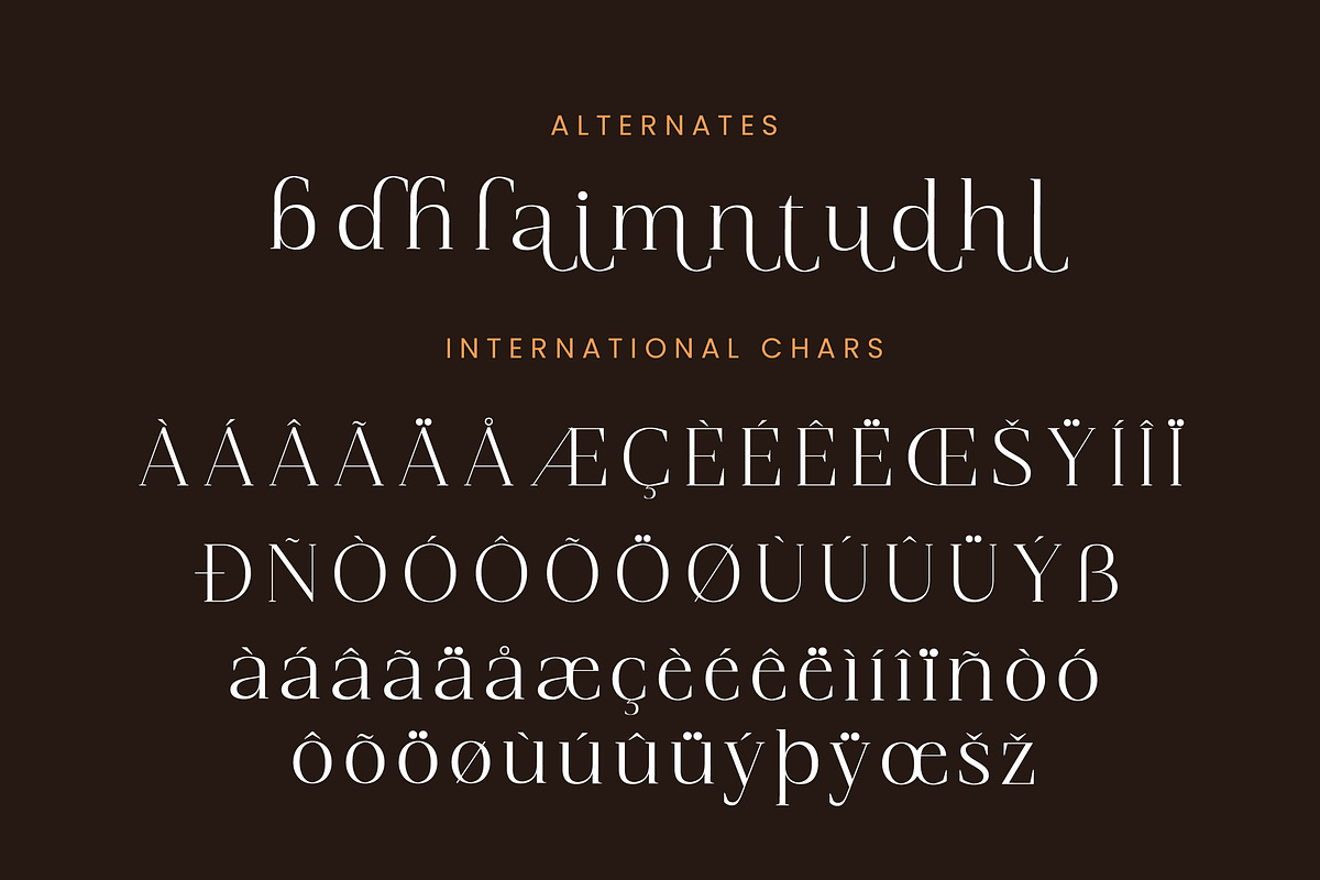 Magnetic Azuhster Minimalist Serif, a Serif Font by Letterena Studios (Photo 14 of 15)
