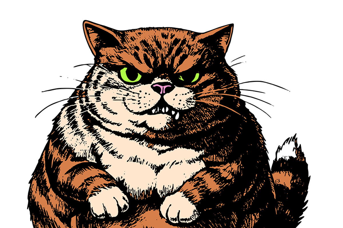 Cartoon. Very angry bad fat cat., a Graphic by Designs by Helen Trupak
