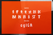 Deniro Guide | Modern Sans Serif, a Sans Serif Font by gracetype_studio (Thumbnail 11 of 11)