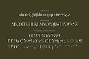 Quelgira - Serif Typeface Font, a Serif Font by Rishsketch (Thumbnail 12 of 15)