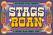 Stags Roan, a Slab Serif Font by graphicook (Thumbnail 1 of 10)