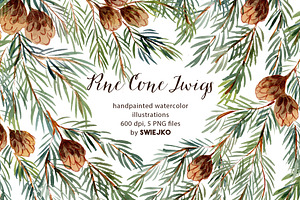 Pine Cones, hand painted clipart