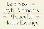 Selario Elegant Modern Sans Serif, a Sans Serif Font by timelesstype.co (Thumbnail 6 of 15)