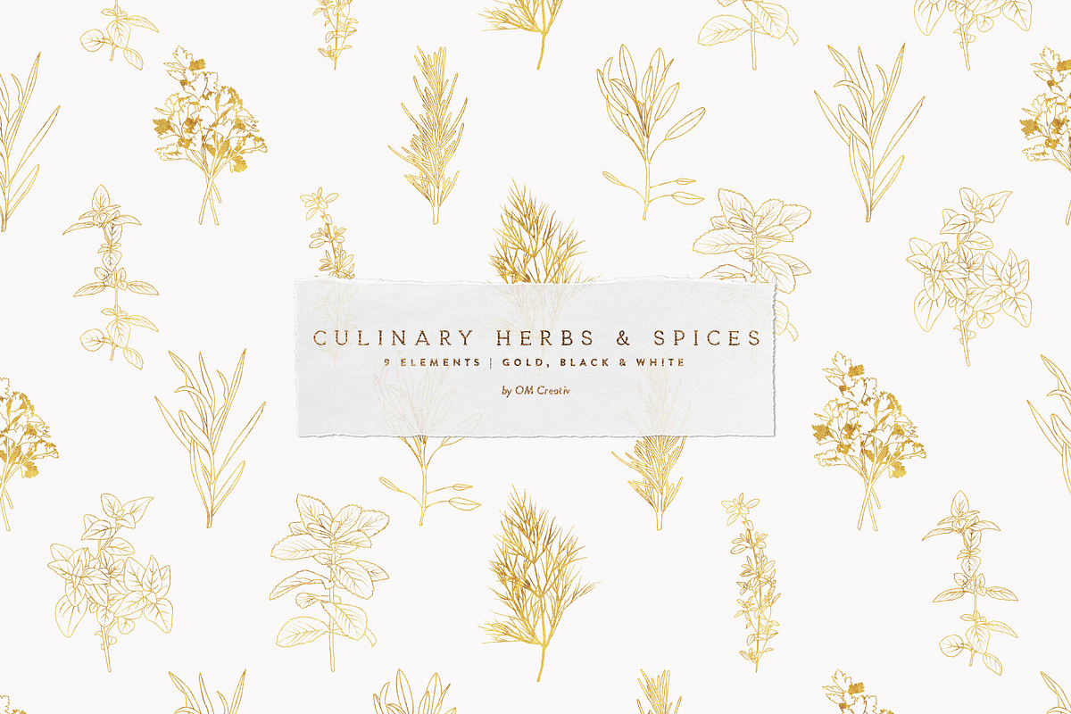 Vector Culinary Herbs & Spices, an Illustration by OM Creativ (Photo 1 of 6)