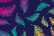 Vector feathers: patterns, a Graphic by lycka (Thumbnail 2 of 5)