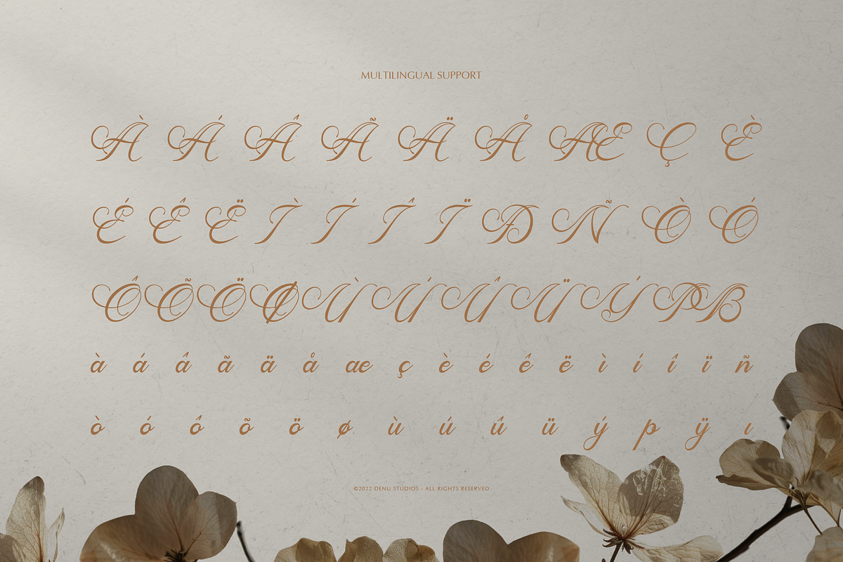 Mamylinus | Beautiful Calligraphy, a Serif Font by Denustudios (Photo 12 of 12)