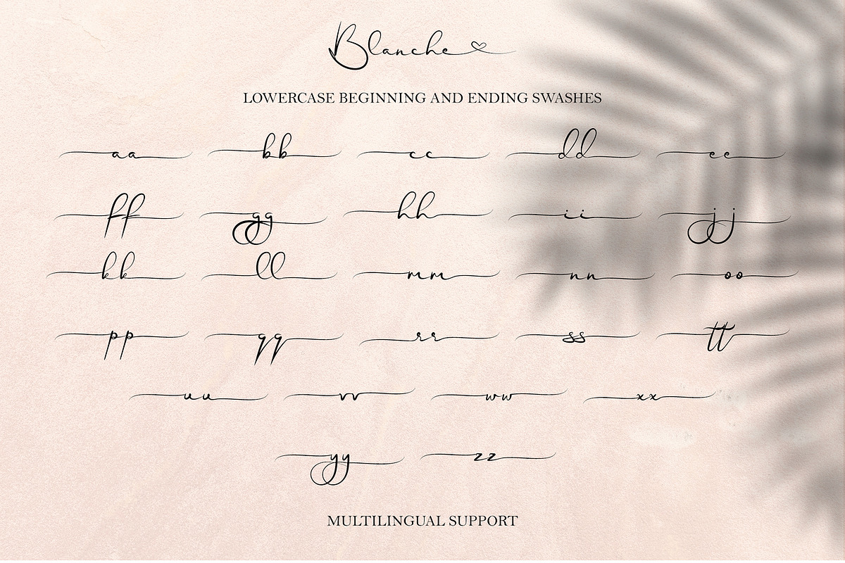 Blanche - Signature Font, a Script Font by erlosDESIGN (Photo 14 of 15)