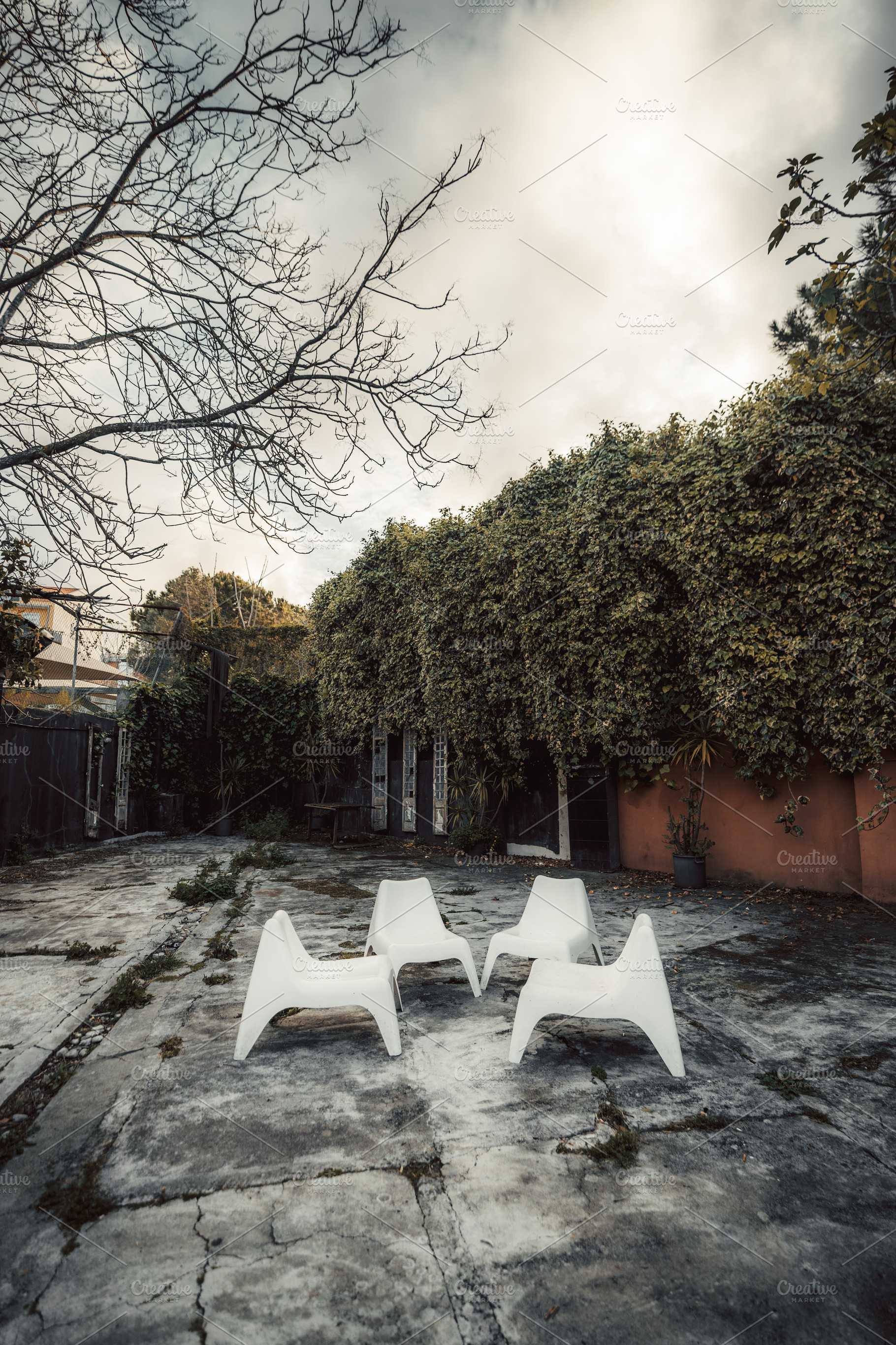 Chairs on cracked patio, moody yard, an Architecture Photo by SkyNext