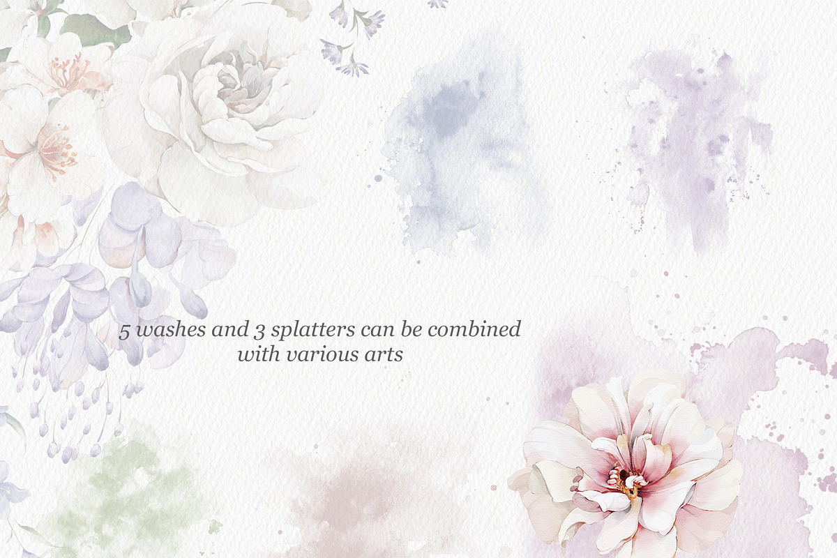 Watercolor Flower Blooms, a Decorative Illustration by Damian Roh (Photo 12 of 15)