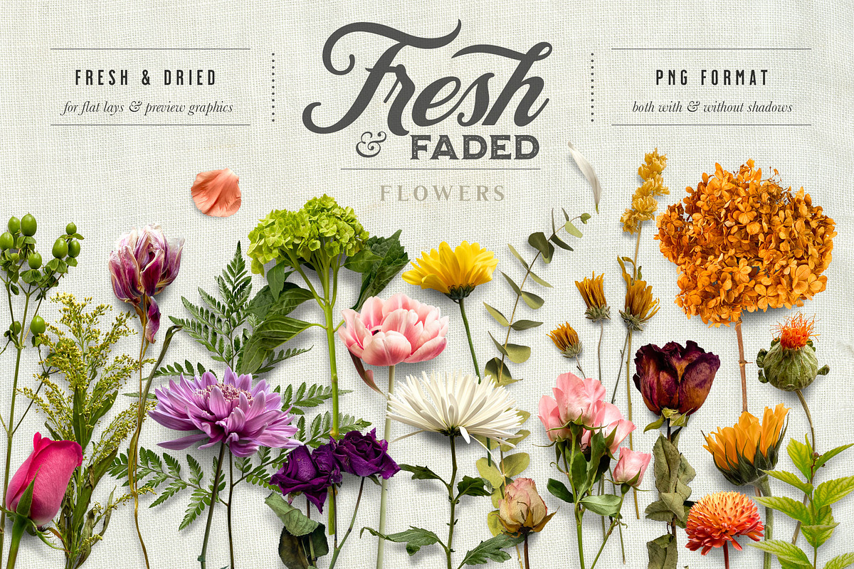 Fresh & Dried Flower Flat Lay, a Product Mockup by Eclectic Anthology (Photo 1 of 8)