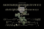 LT Serif - Modern Serif Font, a Serif Font by limitype (Thumbnail 7 of 9)