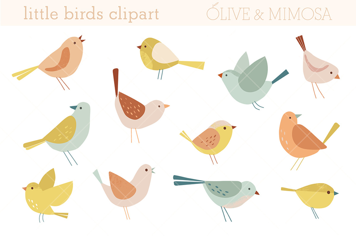 Bird illustrations clipart set, an Animal Illustration by Olive & Mimosa