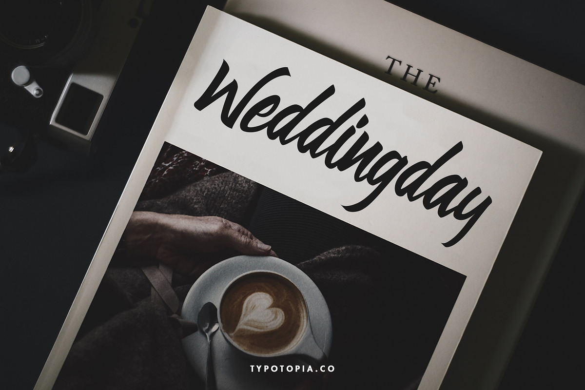 Preteoria Script, a Script Font by edukka (Photo 4 of 10)