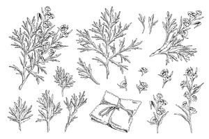 Black and white illustration of a, an Object Illustration by Sabelskaya