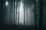 Mysterious forest halloween pack stock photo containing dark and eerie, a Nature Photo by Atmospheric visuals (Thumbnail 3 of 5)