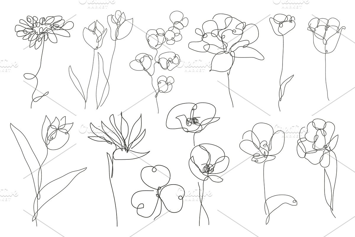 71 Flowers Continuous Line Set, a Decorative Illustration by Sunset&Sea Design (Photo 2 of 8)