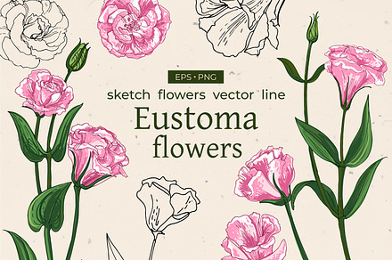 Eustoma flower. Sketch vector line, a Texture Illustration by irina.vaneeva
