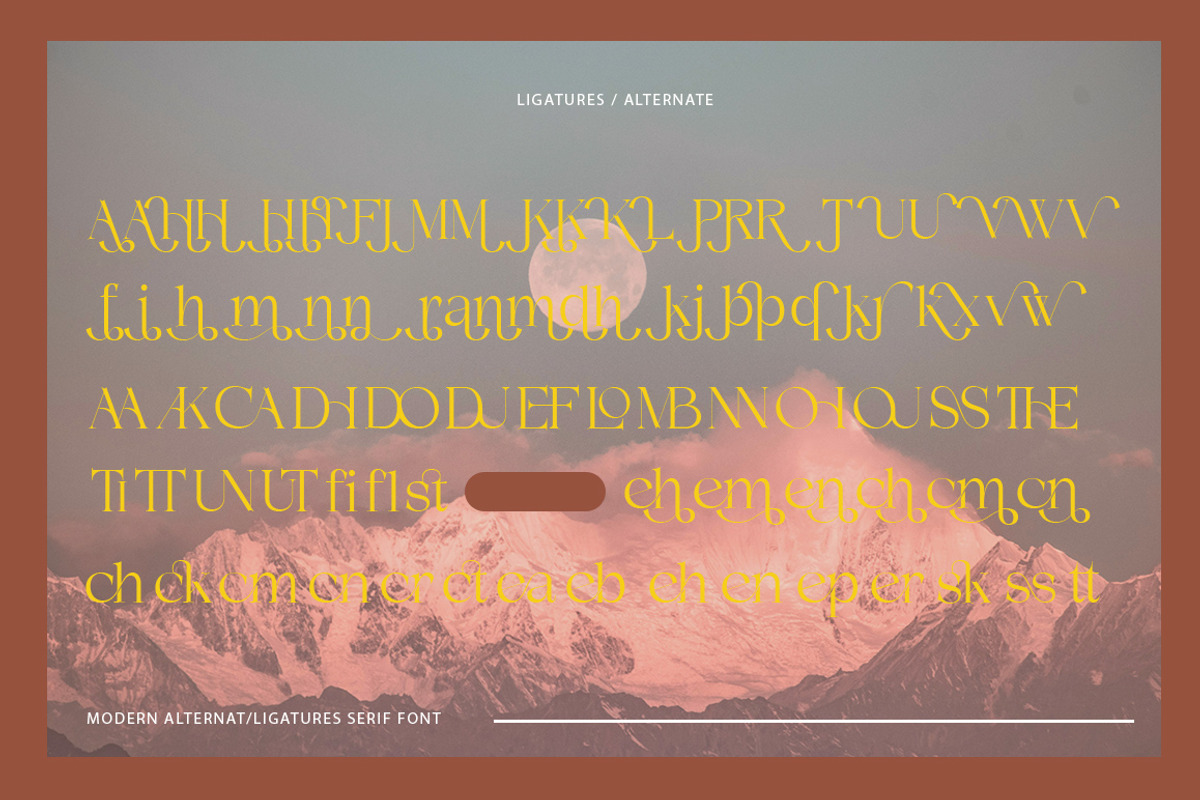 Demetras, a Serif Font by Propertype (Photo 5 of 10)
