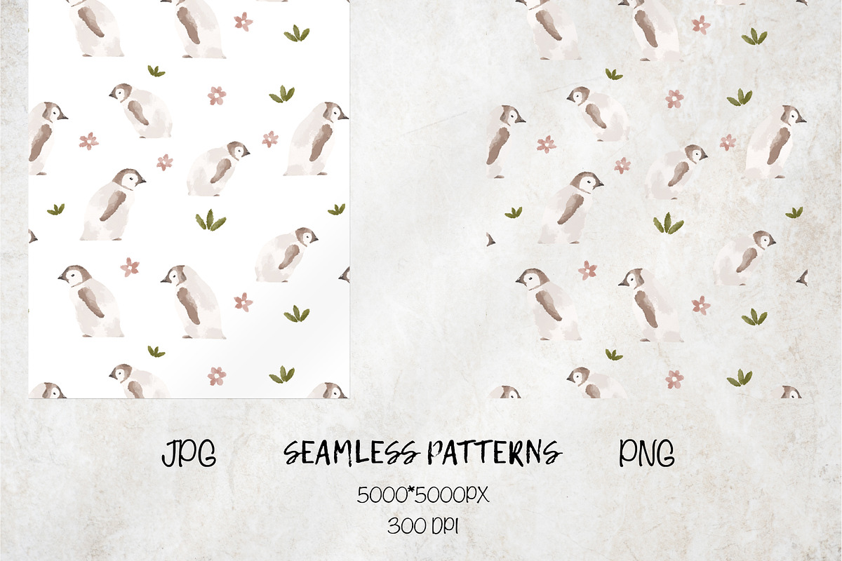 Cute penguins clipart and 3 patterns, an Animal Illustration by Leksart (Photo 4 of 12)
