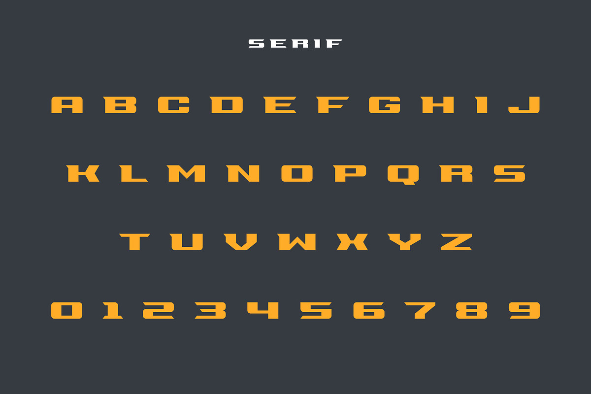 Viper, a Serif Font by Studio One Four (Photo 3 of 7)