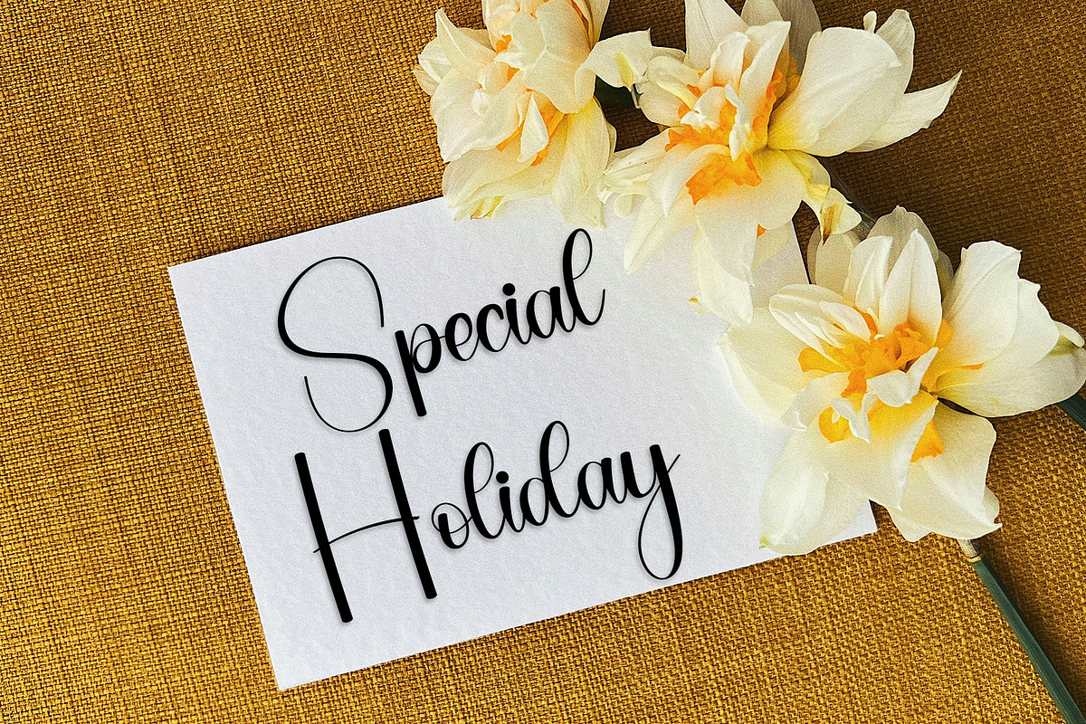 Festive Write, a Handwritten Font by InermediaSTUDIO (Photo 8 of 8)