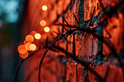 Barbed wire - 55 images, a Background Photo by Handmadefont (Thumbnail 13 of 15)