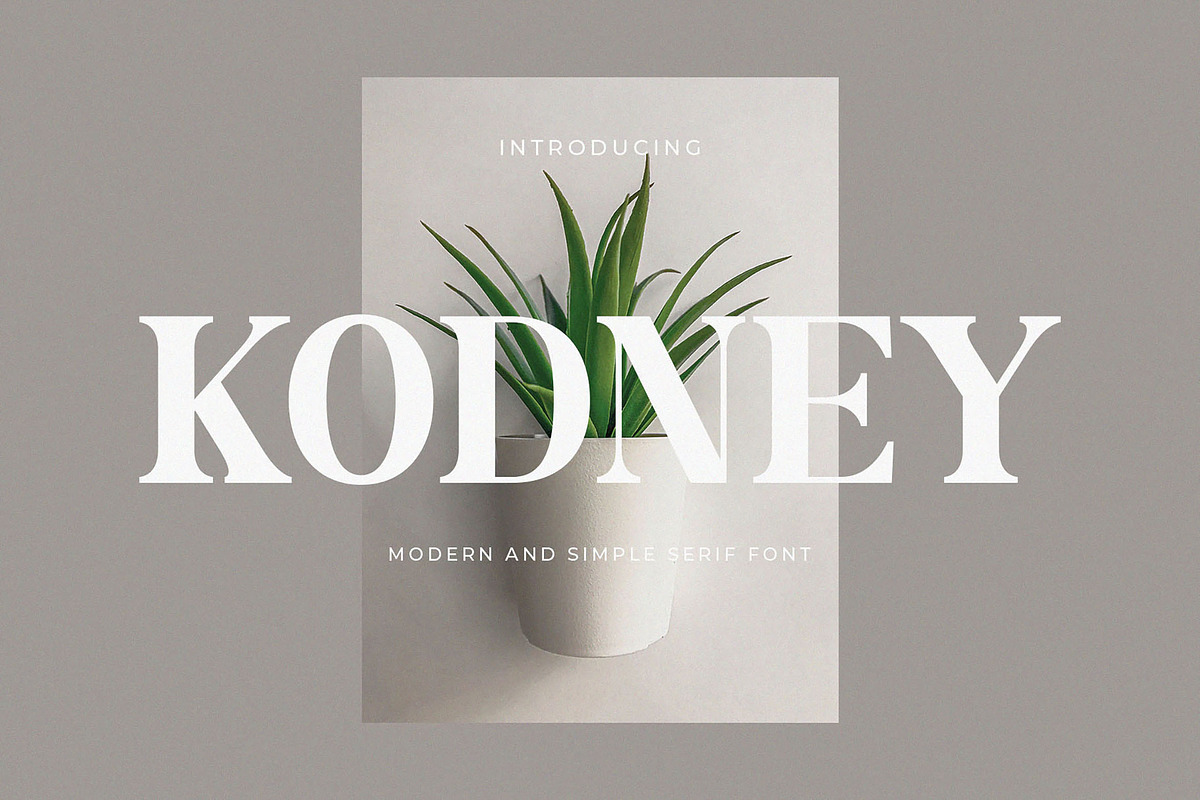 Kodney - Modern Serif Font, a Serif Font by TypeLogue (Photo 1 of 5)