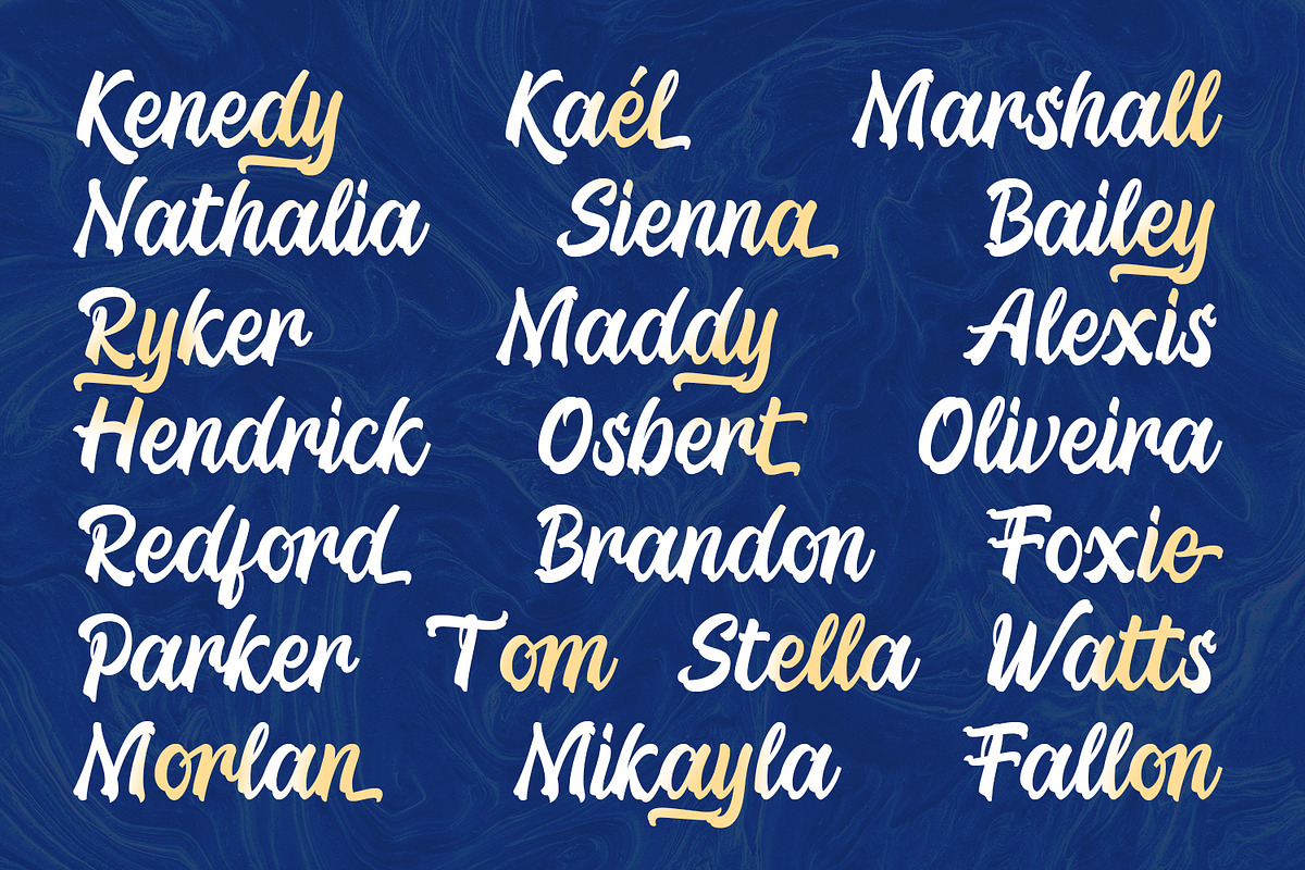 Boundgear – Ultimate Brush Script, a Script Font by Almarkhatype (Photo 7 of 12)