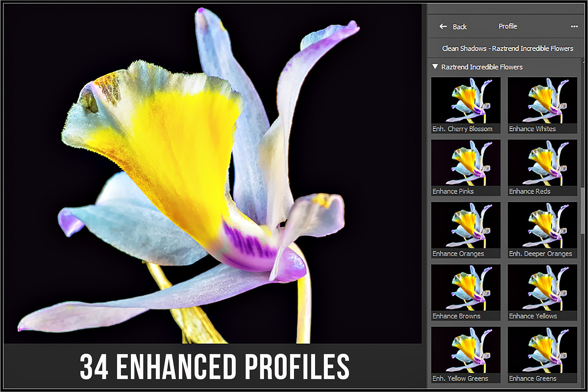 Incredible Flowers Profiles preview 2