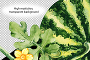 Juicy watermelon, watercolor summer, a Food Illustration by Artmanata (Thumbnail 5 of 12)