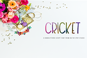 Cricket, a Font by OnTheSpotStudio (Thumbnail 1 of 2)