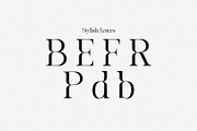 Daybreak Club - Elegant Serif, a Serif Font by subkulturetype (Thumbnail 4 of 12)