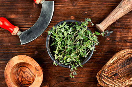 Raw sprig of marjoram, a Health & Medical Photo by MLunov MLunov