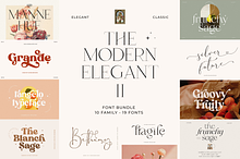 Modern Elegant Font Bundle 2
