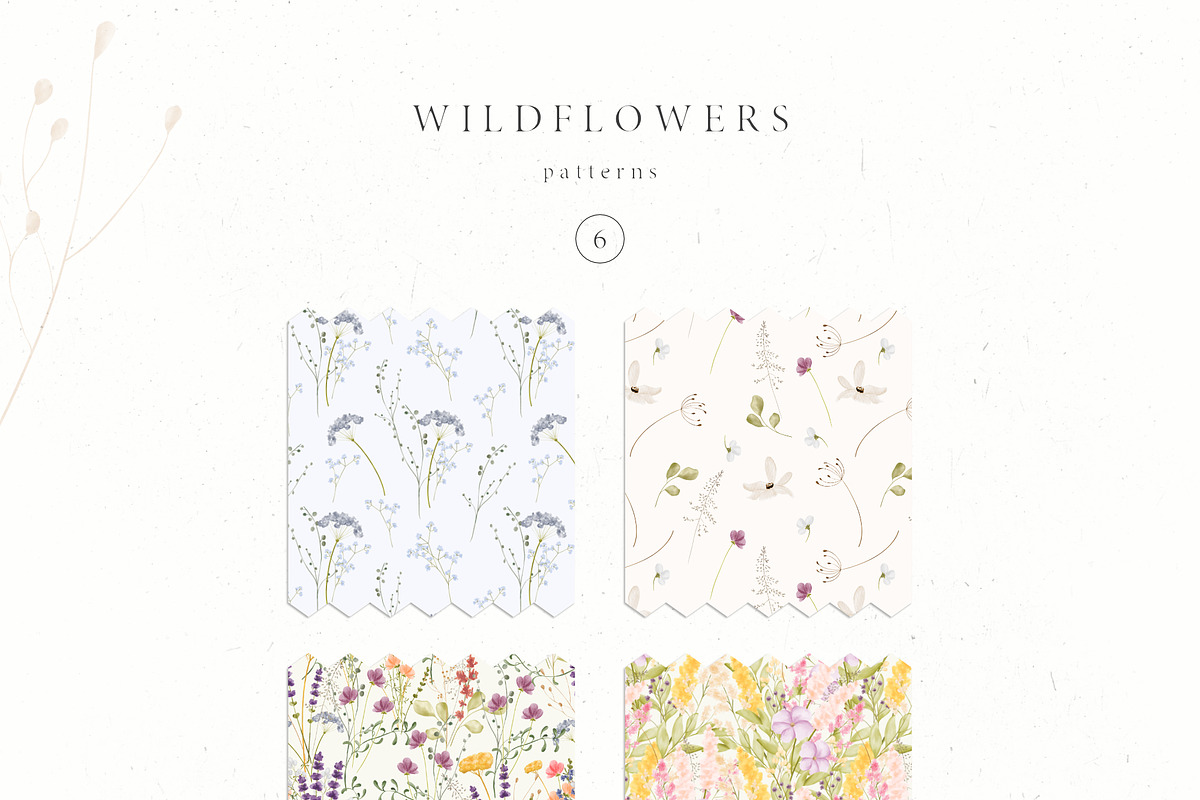 Wildflowers, an Illustration by Blossom (Photo 7 of 9)