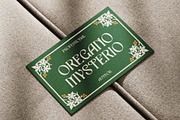 CS Chako Drawn, a Serif Font by Craft Supply Co. (Thumbnail 7 of 8)